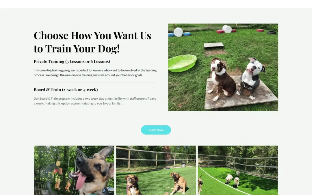 firstgendogtraining