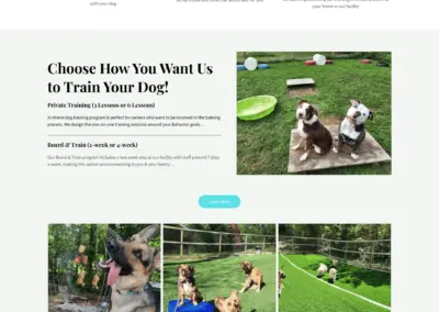 firstgendogtraining