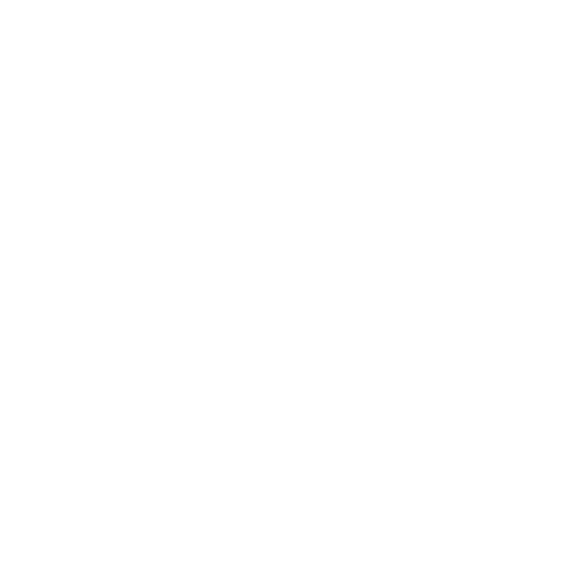 Custom API Development