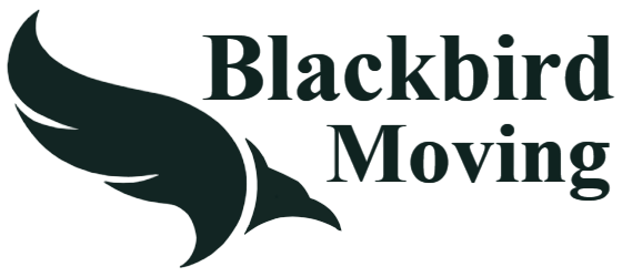 black bird moving